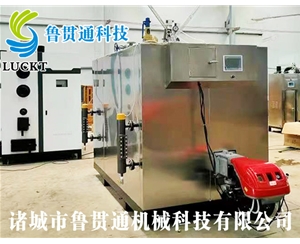 1噸燃氣（油）蒸汽發(fā)生器 現(xiàn)貨供應，工廠直銷，規(guī)格型號眾多，可來電咨詢