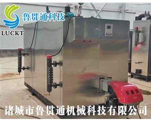 燃氣（油）蒸汽發(fā)生器 現(xiàn)貨供應，工廠直銷，規(guī)格型號眾多，可來電咨詢