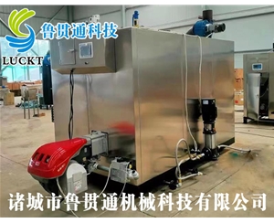 1噸燃氣（油）蒸汽發(fā)生器 現(xiàn)貨供應，工廠直銷，規(guī)格型號眾多，可來電咨詢